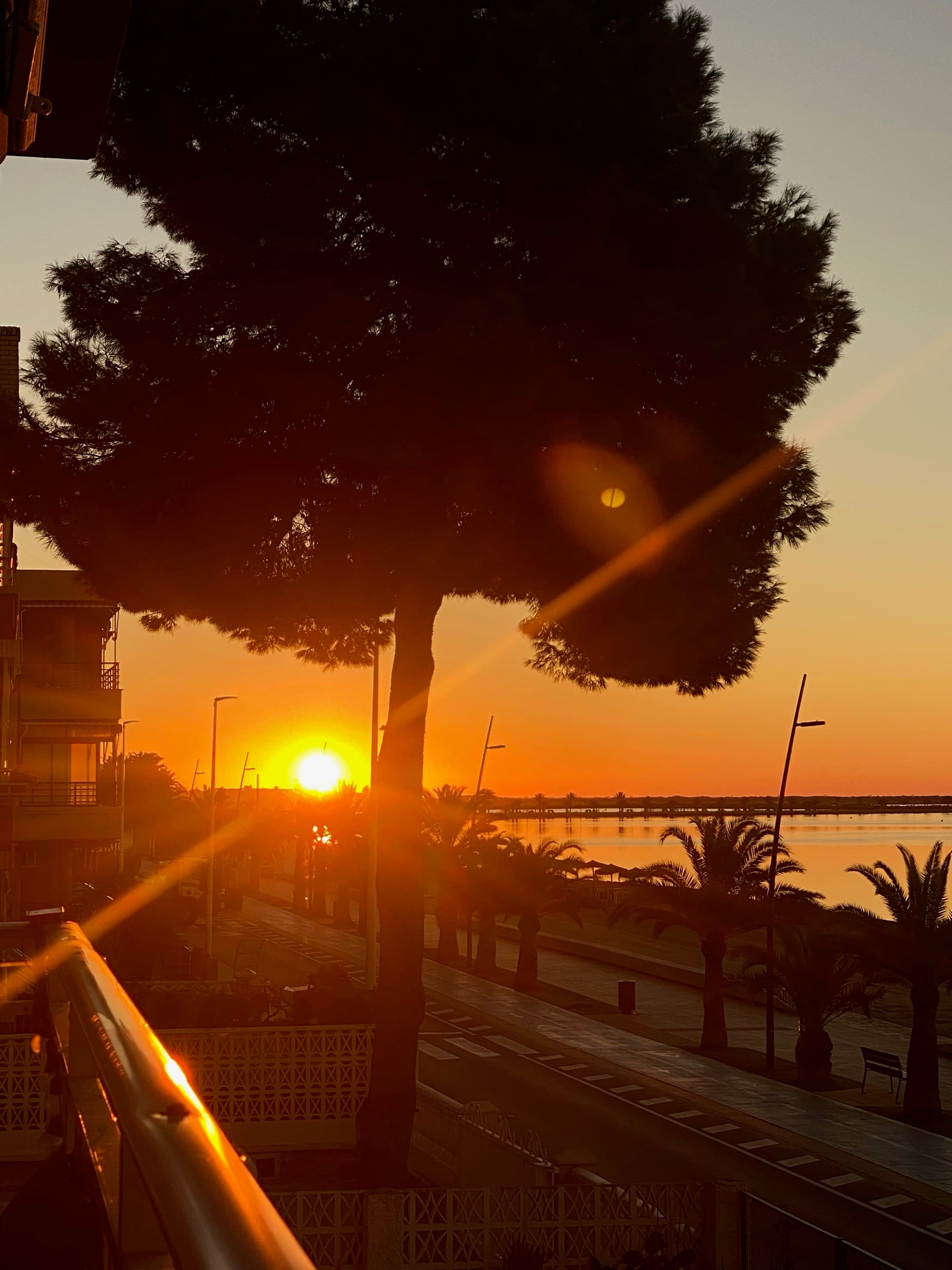 Zonsondergang boven de boulevard en pier van San Pedro del Pinatar met palmen