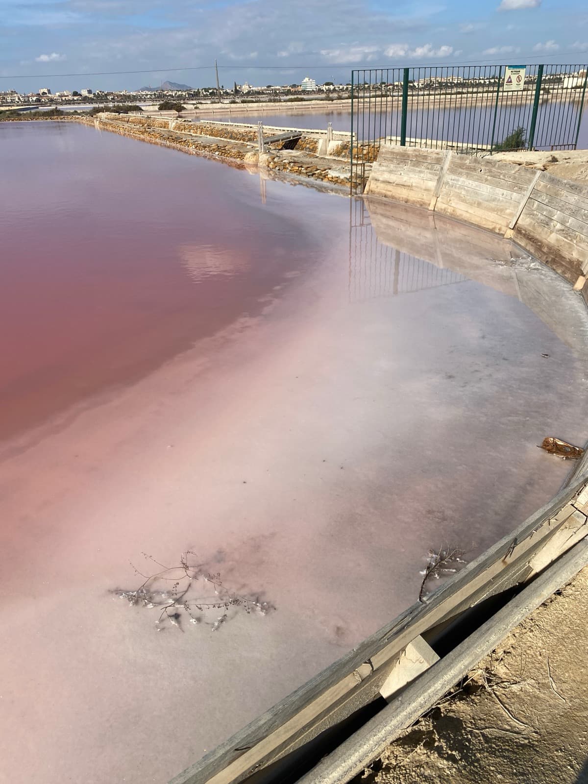 Een roze zoutmeer in het regionaal park Salinas y Arenales