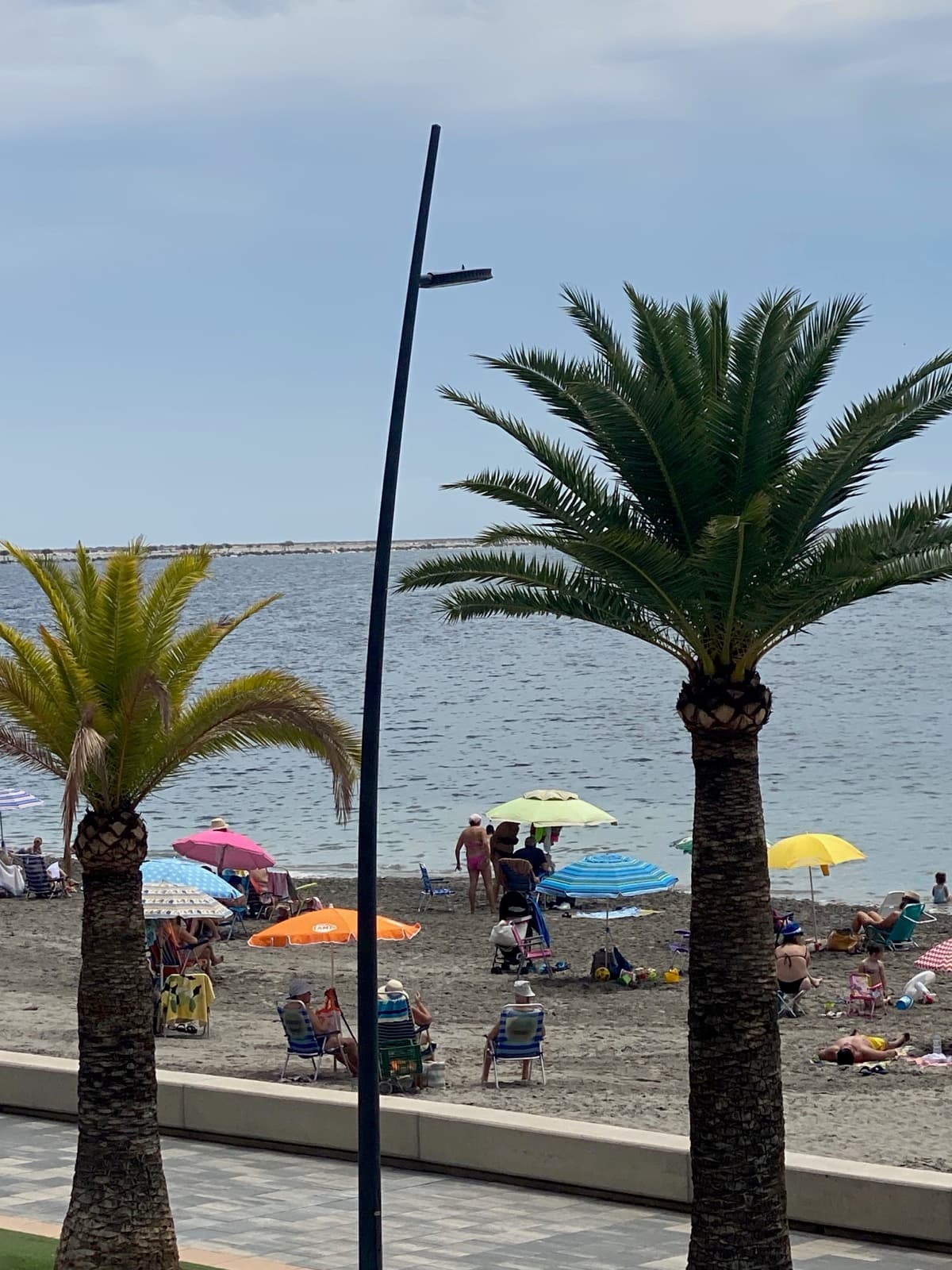 Strand Villananitos in Lo Pagán met palmen en parasols